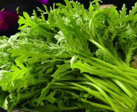 牛肉芹菜怎么炒好吃?牛肉能和芹菜一起吃嗎? 牛肉芹菜怎么炒好吃?牛肉能和芹菜一起吃嗎?