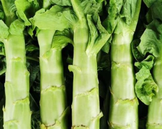 萵筍怎么切菱形片?萵筍怎么處理好吃 萵筍怎么切菱形片?萵筍怎么處理好吃
