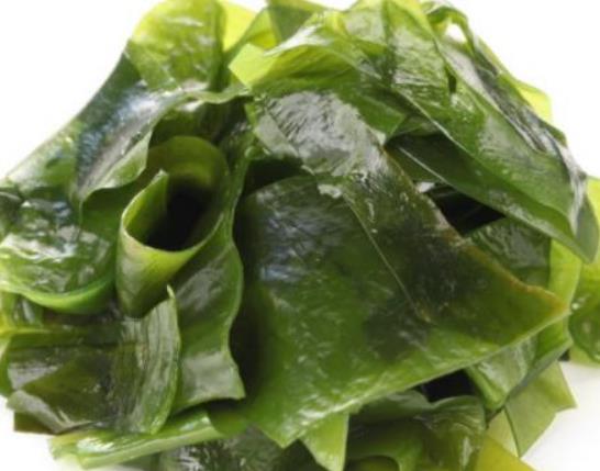 裙帶菜是海白菜嗎?裙帶菜能降血壓嗎 裙帶菜是海白菜嗎?裙帶菜能降血壓嗎
