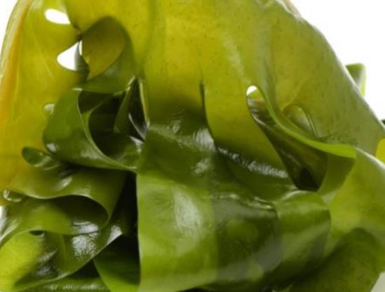 裙帶菜有哪些種類?孕婦可以吃裙帶菜嗎 裙帶菜有哪些種類?孕婦可以吃裙帶菜嗎