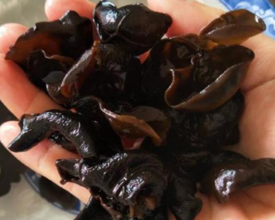 為什么吃木耳會消化不良?如何快速泡發木耳 為什么吃木耳會消化不良?如何快速泡發木耳