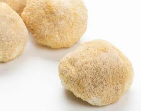 猴頭菇發苦有毒嗎?吃猴頭菇會過敏嗎 猴頭菇發苦有毒嗎?吃猴頭菇會過敏嗎