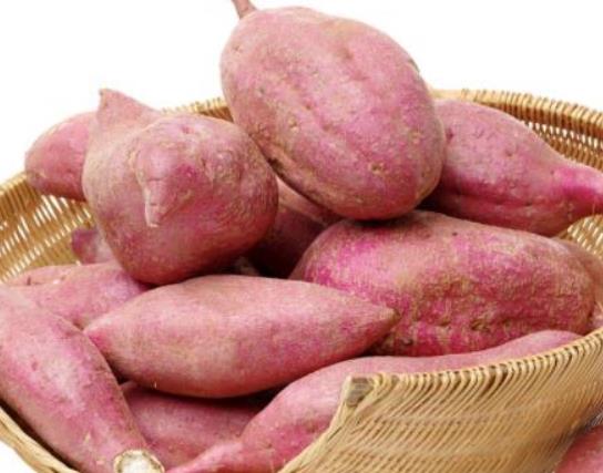 ļtôrgL˰tô