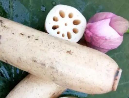 蓮藕為什么會變黑?吃了綠色蓮藕怎么辦 蓮藕為什么會變黑?吃了綠色蓮藕怎么辦
