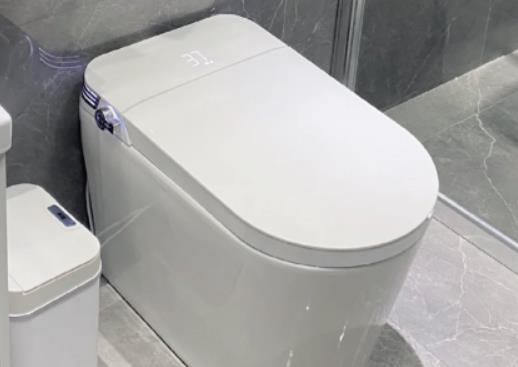 馬桶水箱不進水如何處理?自動馬桶蓋怎么使用 馬桶水箱不進水如何處理?自動馬桶蓋怎么使用