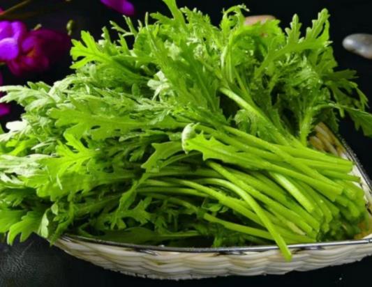 吃茼蒿炒牛肉注意什么?茼蒿和菠菜哪個更有營養(yǎng)? 吃茼蒿炒牛肉注意什么?茼蒿和菠菜哪個更有營養(yǎng)?