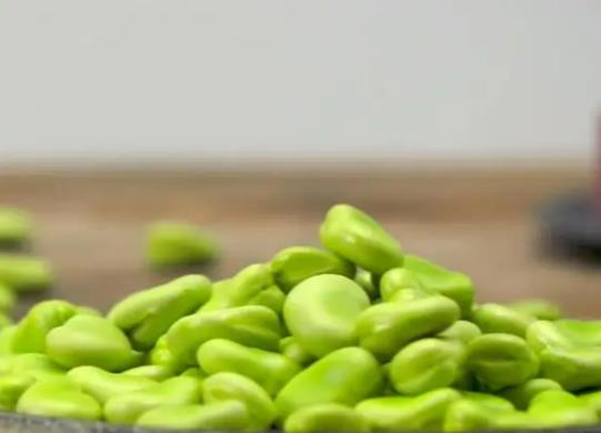 五月份能種植蠶豆嗎?蠶豆為什么養著養著葉子就變黃了