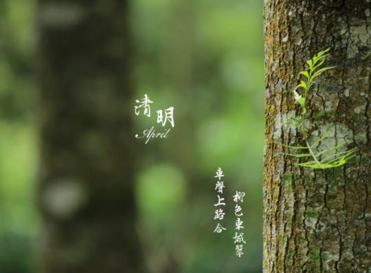 清明上墳添土有什么講究?清明掃墓的順序
