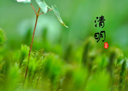 清明節適不適合去五臺山?清明節去五臺山有忌諱嗎