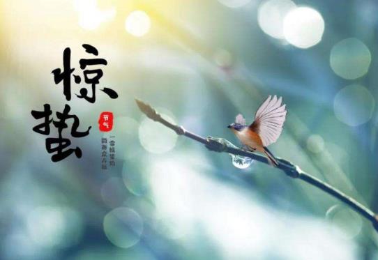 2022驚蟄刮風還要再冷多少天?2022年3月5日驚蟄是什么節日