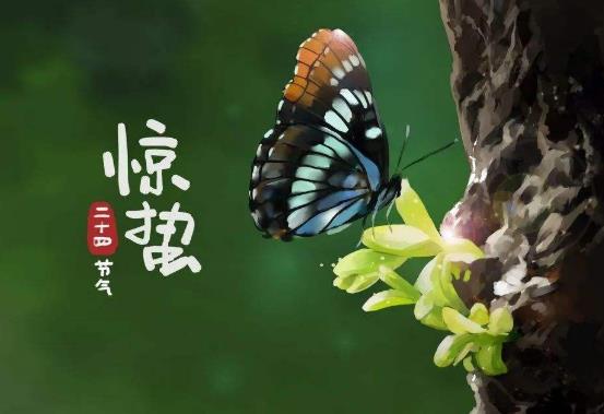 驚蟄節氣吃什么食物好?驚蟄打雷在什么時候打